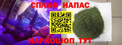 индика Шебекино