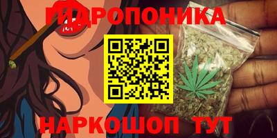 индика Шебекино