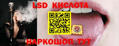 прущие крисы Шелехов