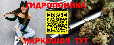 крисы Шахты