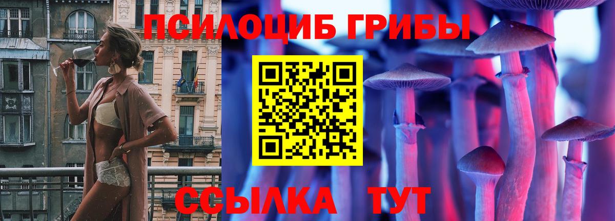 Псилоцибиновые грибы Cubensis  Вход с VPN  Славгород 