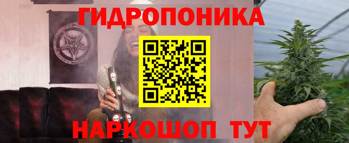 МАРИХУАНА гибрид  Конопля OG Kush  Вход с VPN  МАРИХУАНА THC 21%  Славгород  Марихуана индика 